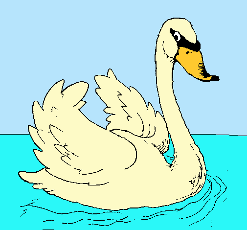 Cisne en el agua