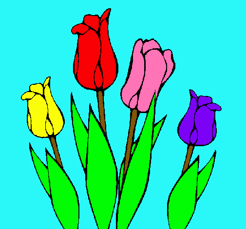 Tulipanes