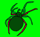 Dibujo Araña venenosa pintado por abigail