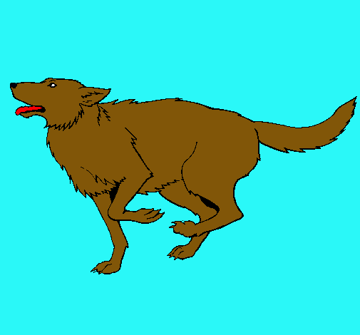 Perro corriendo