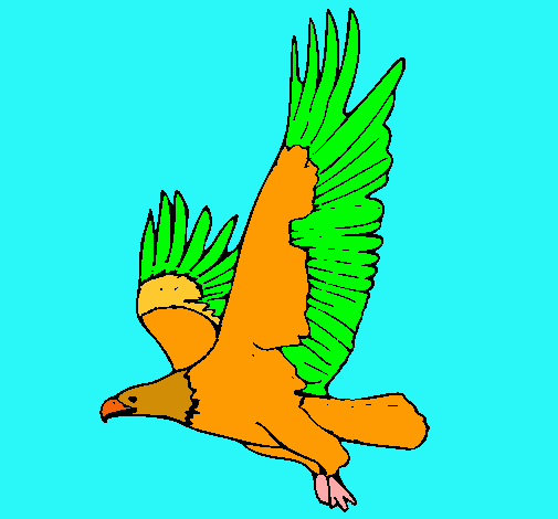 Águila volando