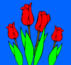 Dibujo Tulipanes pintado por merian