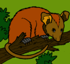 Dibujo Ardilla possum pintado por lobi