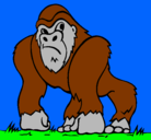 Dibujo Gorila pintado por Gigantopithecus