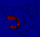 Dibujo Tiburón pintado por llalla