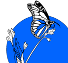 Dibujo Mariposa en una rama pintado por celia22
