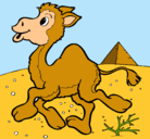Dibujo Camello pintado por VANNY
