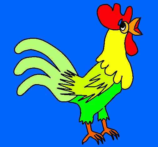 Gallo