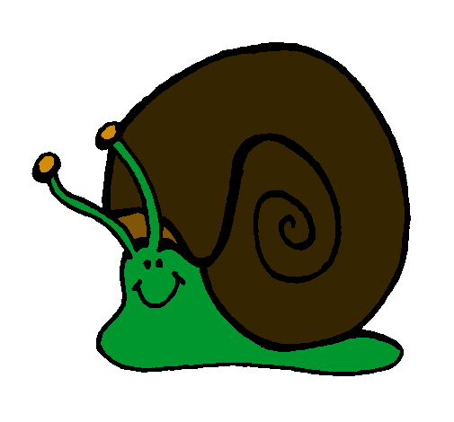 Caracol 