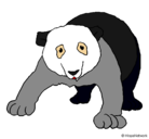 Dibujo Oso panda pintado por nadine 