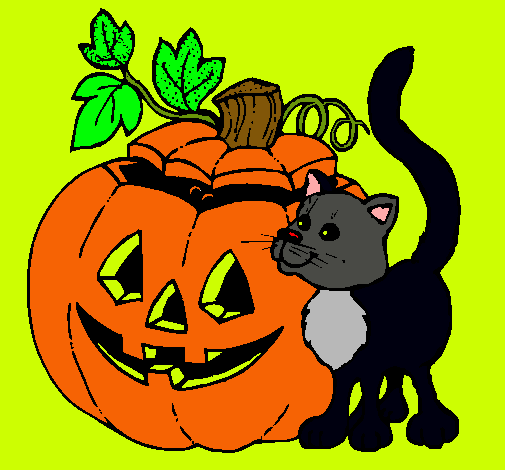 Calabaza y gato