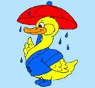 Dibujo Pato bajo la lluvia pintado por alisson