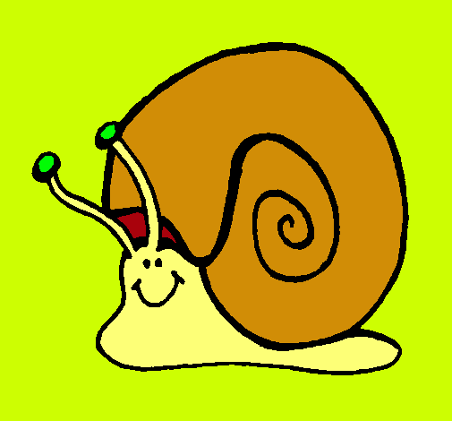 Caracol 