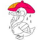 Dibujo Pato bajo la lluvia pintado por WAILTER