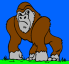 Dibujo Gorila pintado por Gigantopithecus