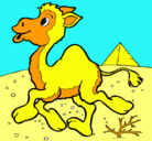Dibujo Camello pintado por valem