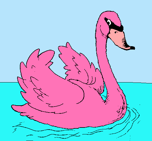 Cisne en el agua