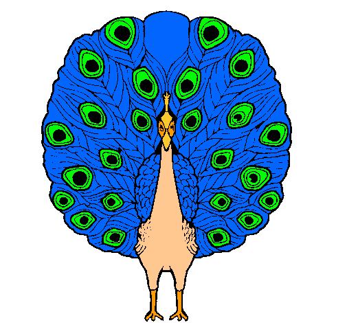 Pavo real