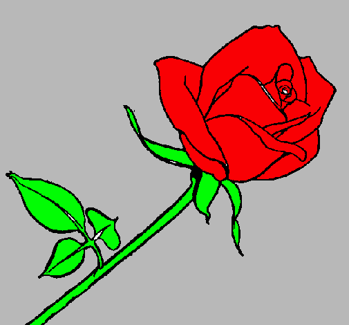 Dibujo Rosa pintado por celia22
