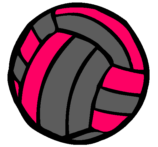 Pelota de voleibol