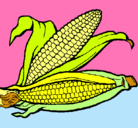 Dibujo Mazorca de maíz pintado por gloriana