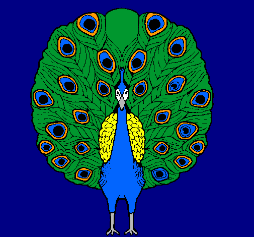 Pavo real