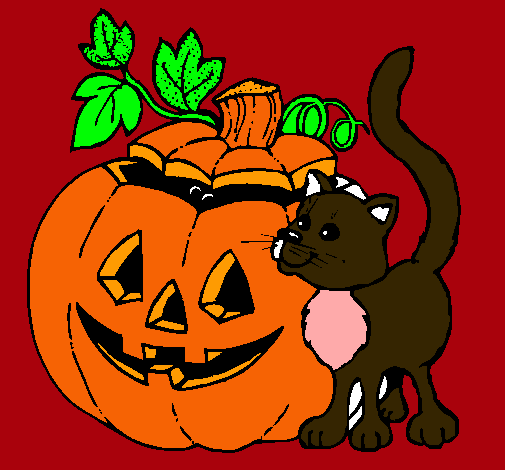 Calabaza y gato