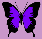 Dibujo Mariposa con alas negras pintado por MARTINI