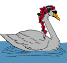 Dibujo Cisne con flores pintado por alisson