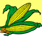 Dibujo Mazorca de maíz pintado por lucy