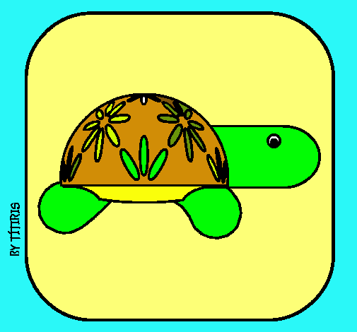 Tortuga 4