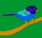 Dibujo Pájarito pintado por margary