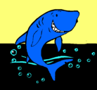 Dibujo Tiburón pintado por aguilar