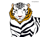 Dibujo Tigre pintado por ana_2000