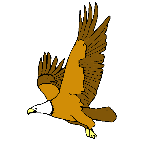 Águila volando