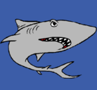 Dibujo Tiburón pintado por ferchunando