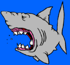 Dibujo Tiburón pintado por dani0202