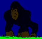 Dibujo Gorila pintado por shauder