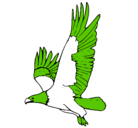 Dibujo Águila volando pintado por saik