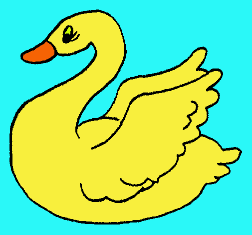 Cisne