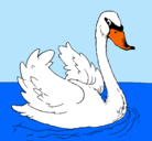 Dibujo Cisne en el agua pintado por Cisnes