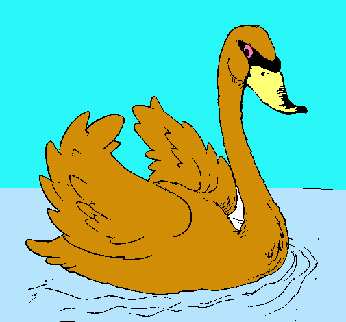 Cisne en el agua