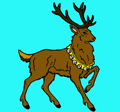 Venado