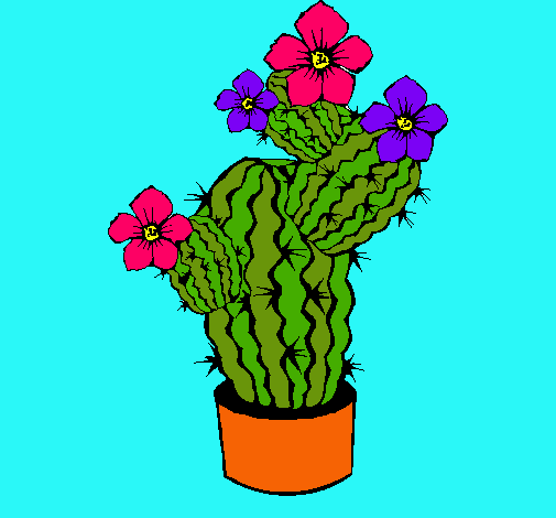 Flores de cactus