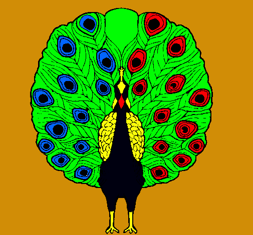 Pavo real