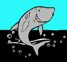 Dibujo Tiburón pintado por kike