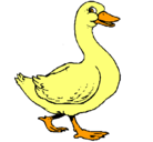 Dibujo Pato pintado por duck