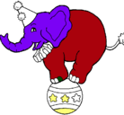 Dibujo Elefante encima de una pelota pintado por DONATO