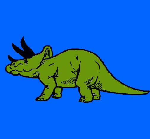 Triceratops