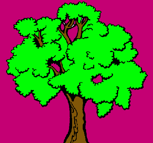 Árbol